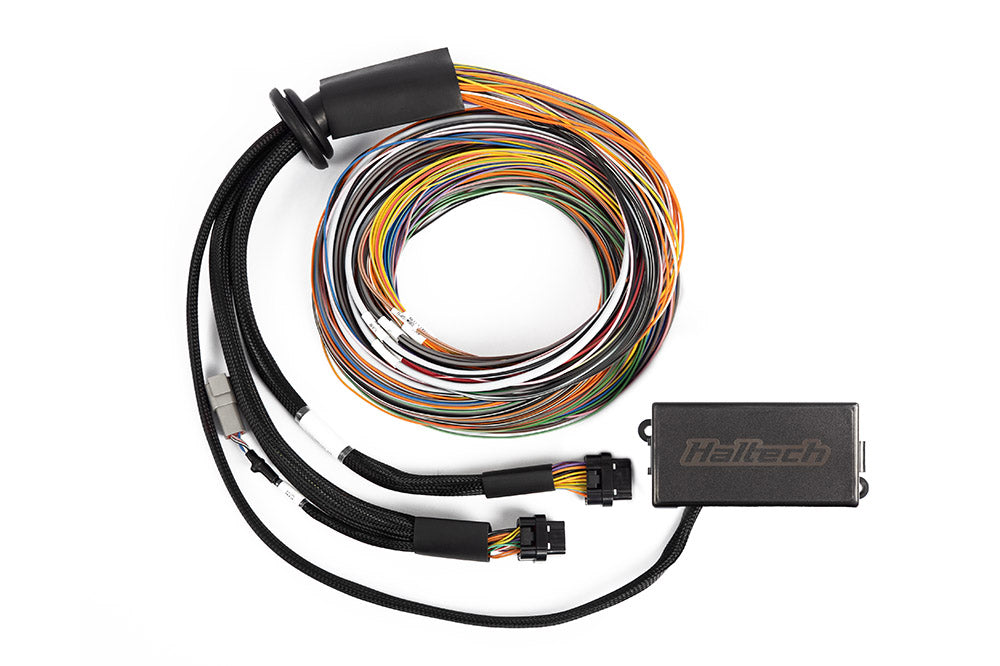 Haltech Elite 2500 & 2500 T Premium Universal Wire-in Harness (HT-141304), view 2, Tuned By Shawn