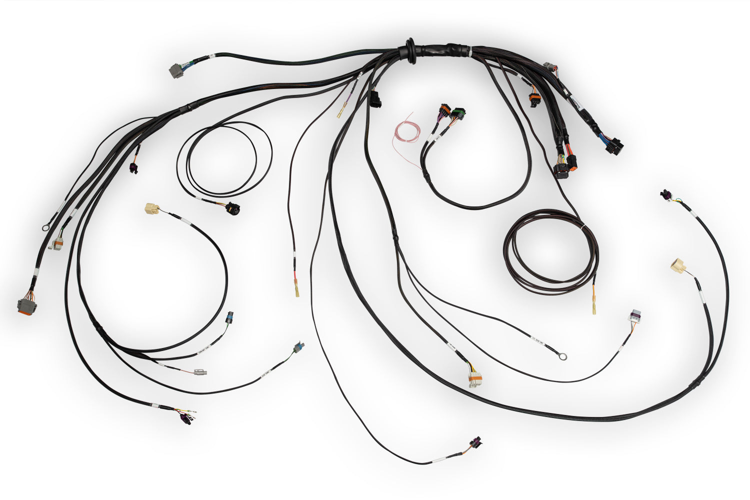 Nexus Rebel LS Main Terminated Harness (HT-186500)