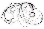 Nexus Rebel LS Main Terminated Harness (HT-186500)