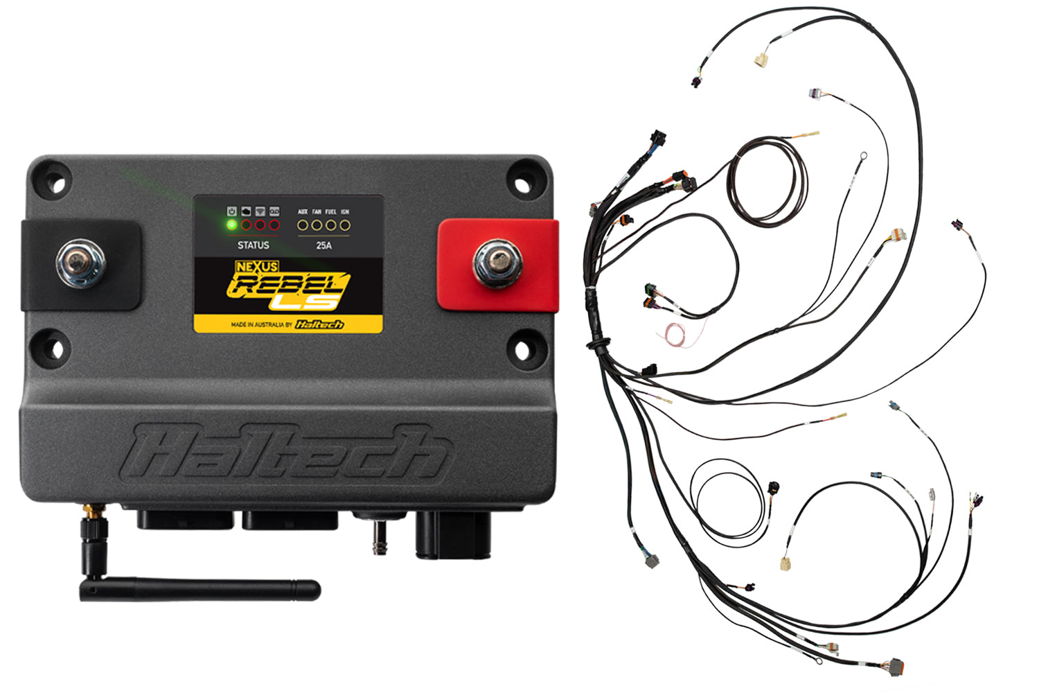 Rebel LS Kit Suits Gen III Cable throttle, EV1, Manual Transmission (HT-220201)