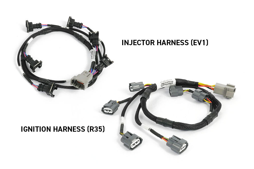 NEXUS Rebel JZ (HT-220205)