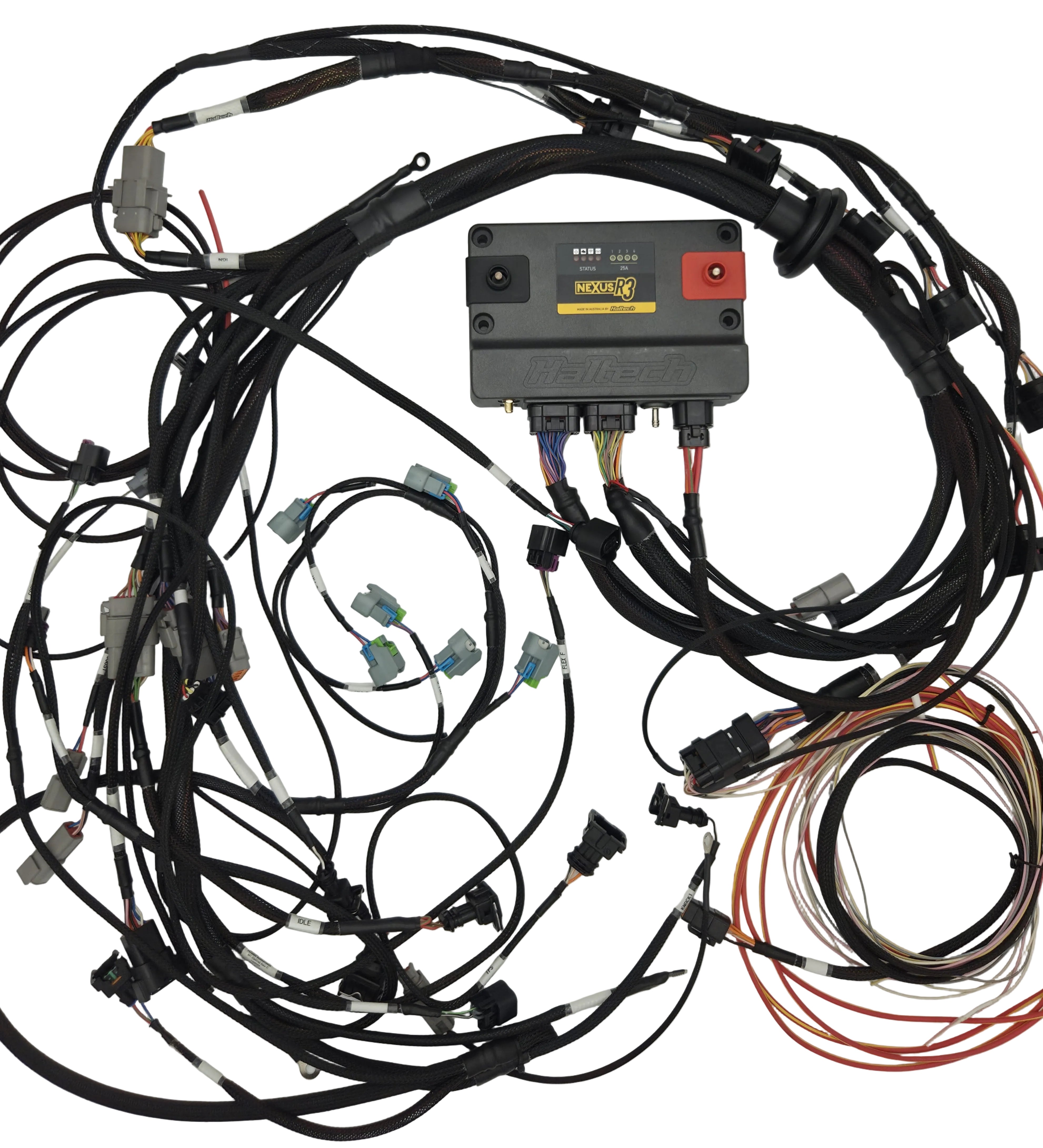 Haltech - PNP BMW M50 / M52 / S50 / S52 Swap Engine Harness