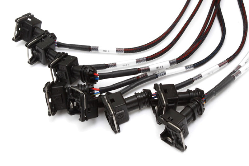 Elite 2000 V8 Small/Big Block GM, Ford and Chrysler Terminated Harness (HT-141376)
