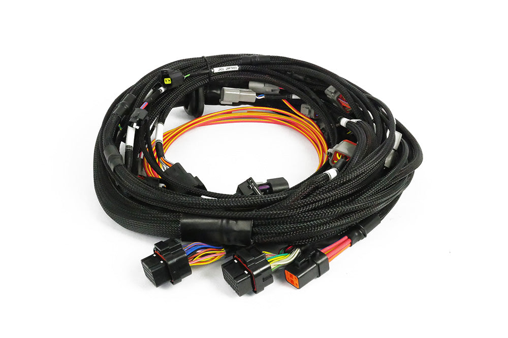 Nexus Rebel JZ Main Terminated Harness (HT-186400)