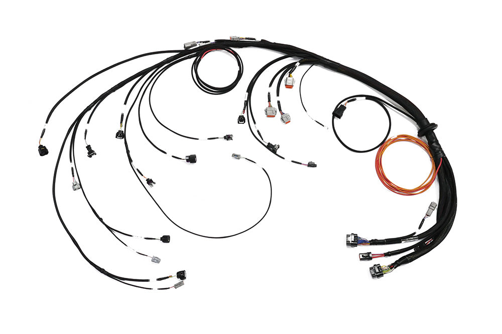 Nexus Rebel JZ Main Terminated Harness (HT-186400)