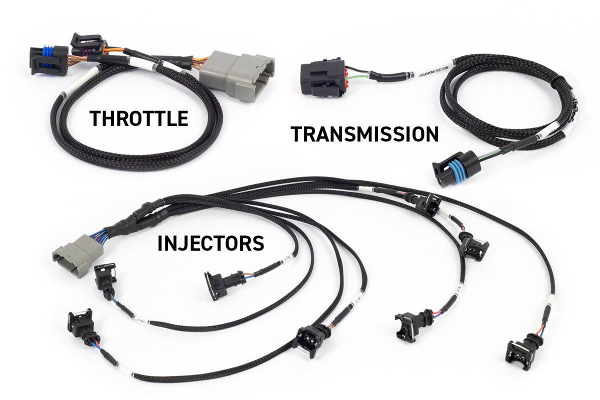 Rebel LS Kit Suits Gen III Cable throttle, EV1, Manual Transmission (HT-220201)