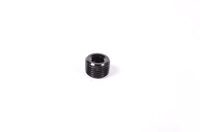 Radium Engineering 1/8 NPT plug 14-0172 at Tuned By Shawn