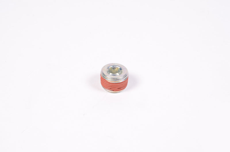 Radium Engineering 3/8 NPT plug 14-0173 at Tuned By Shawn