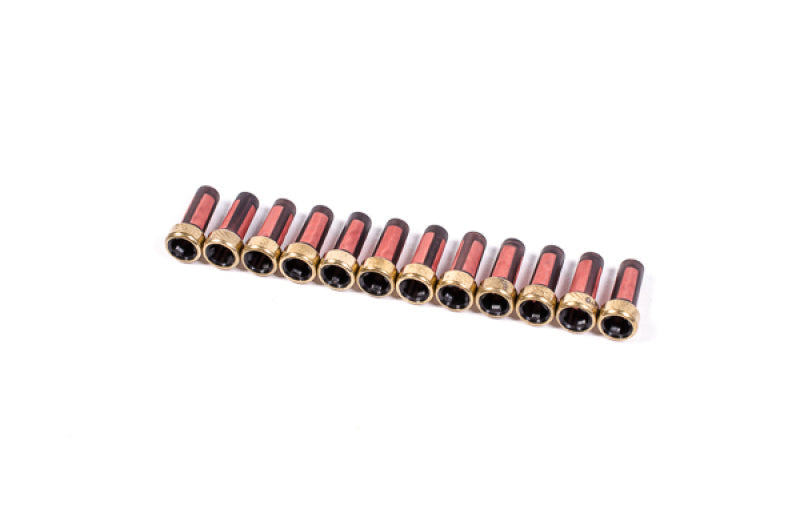 Radium Engineering injector screens 12 pack 18-0033 at Tuned By Shawn