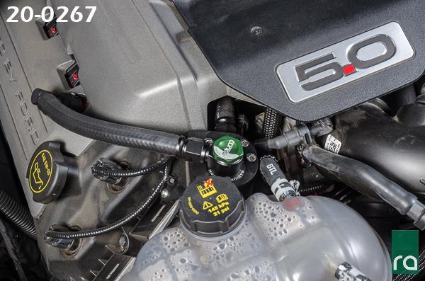 Radium catch can on Coyote 5.0 engine bank, Tuned By Shawn