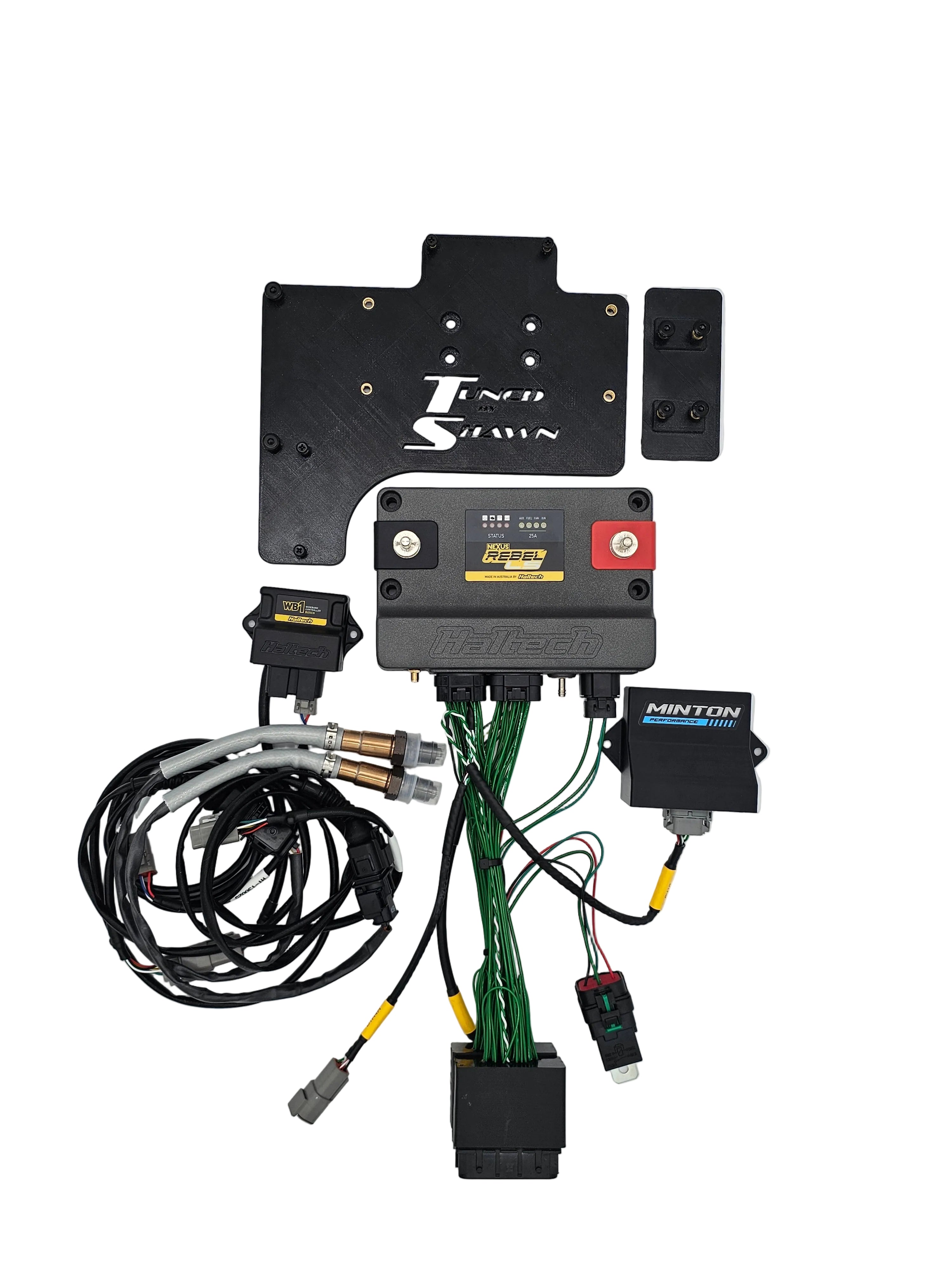 Haltech Nexus Rebel Plug 'n' Play Adapter Harness Kit - Chevrolet C6 Corvette