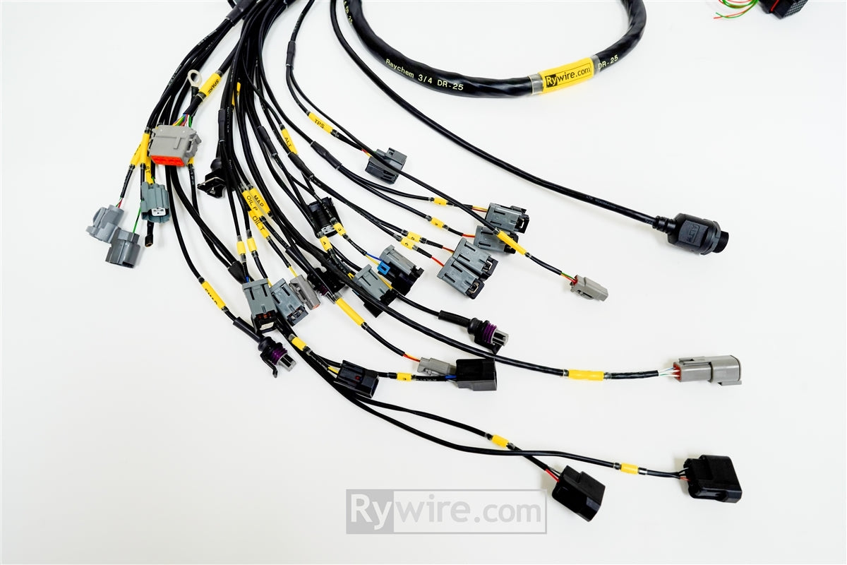 Rywire B-Series standalone engine harness for Haltech Elite, 8 injector, photo 3