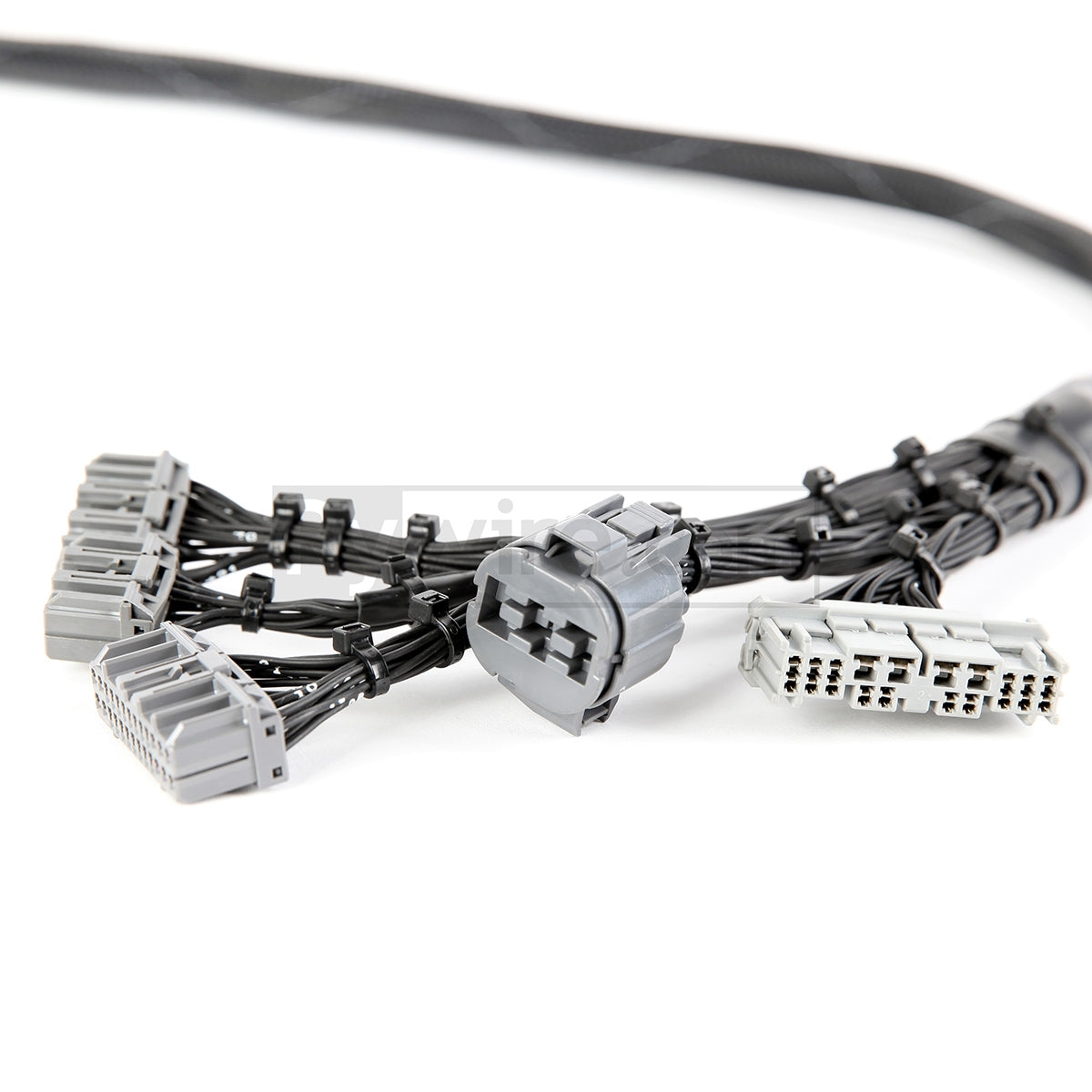 Rywire OBD2 budget tucked D and B-series engine harness in black expandable loom, photo 3