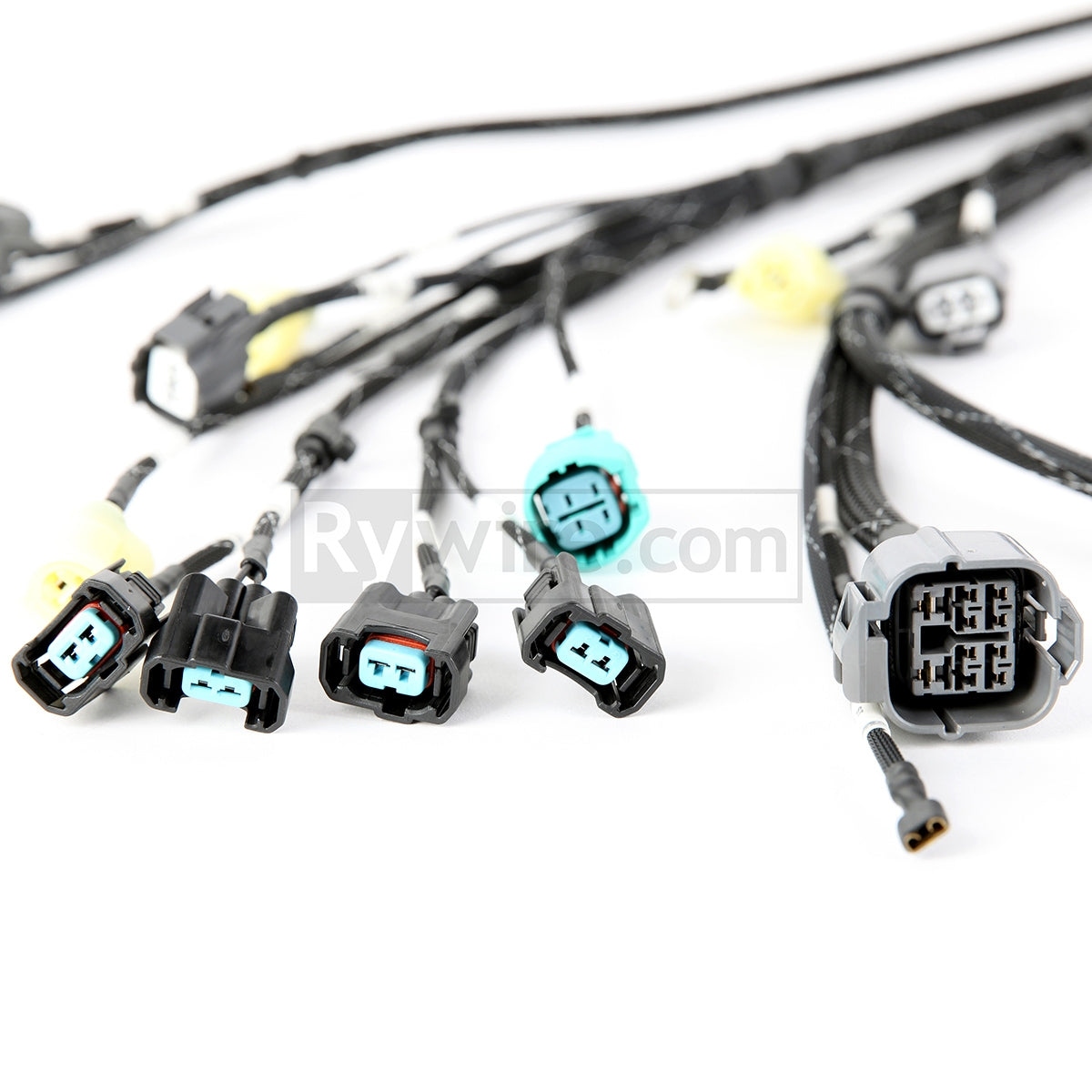 Rywire OBD2 budget tucked D and B-series engine harness in black expandable loom, photo 4