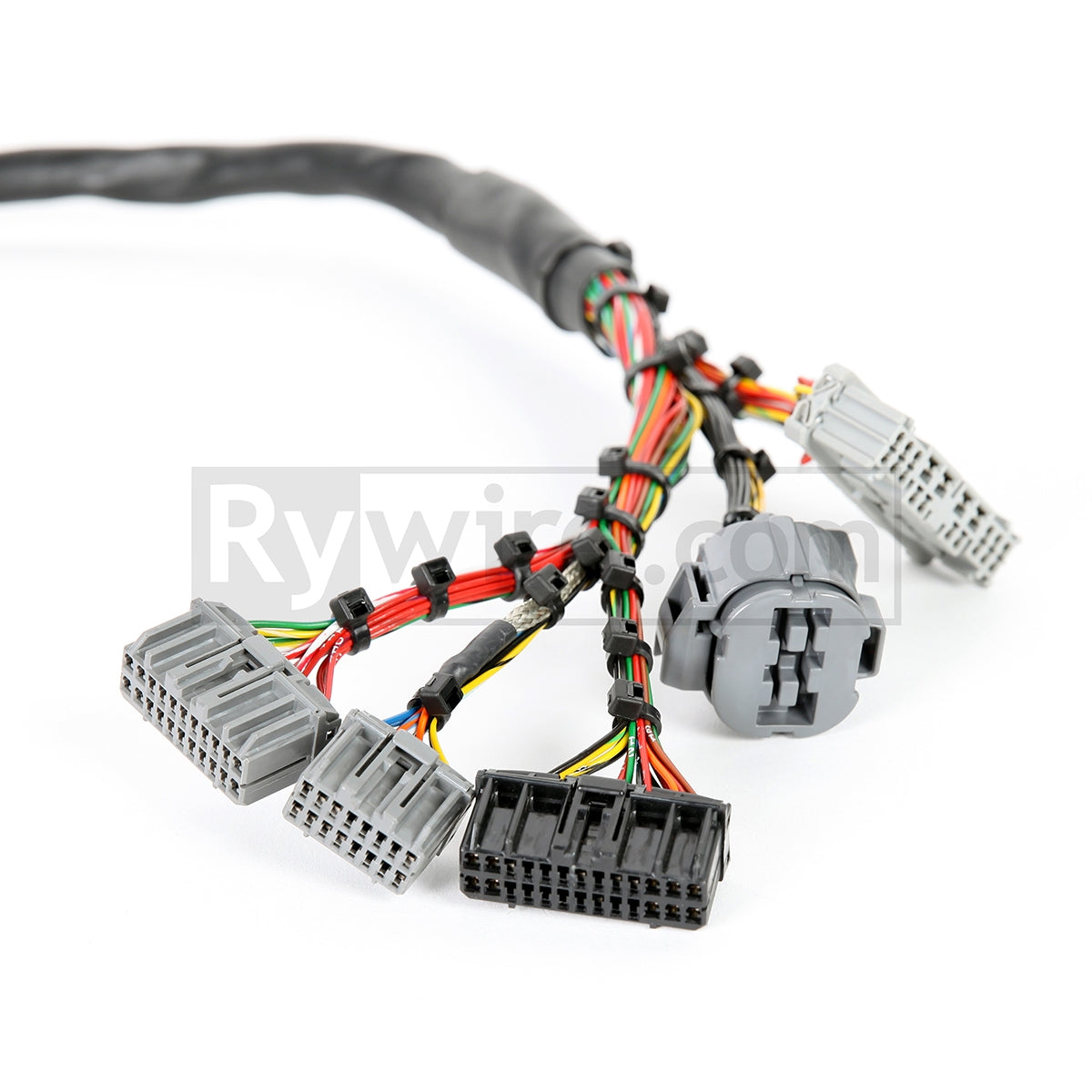 Rywire OBD2 mil-spec tucked D and B-series engine harness with DR-25 heat shrink, photo 3