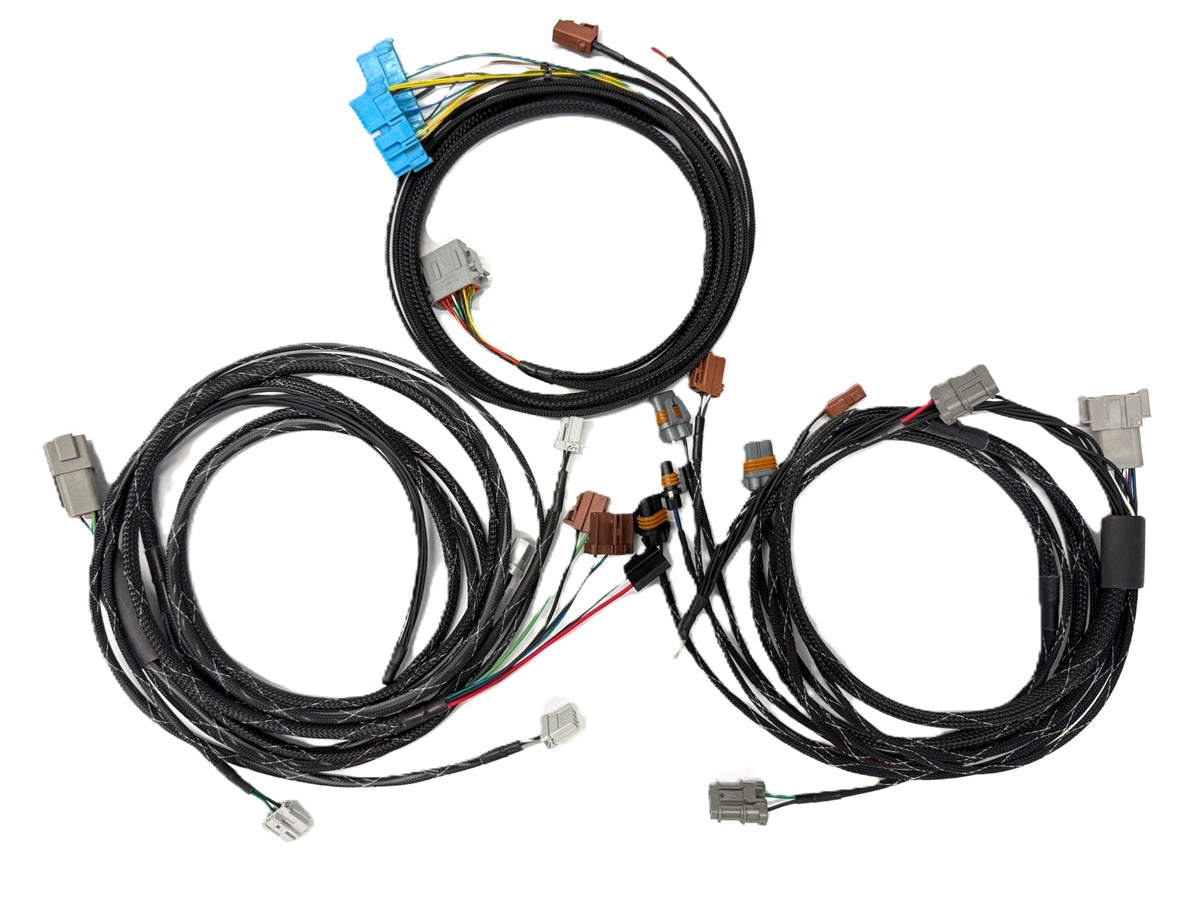 Rywire Honda/Acura chassis harness with 16-channel PDM power distribution module, photo 2