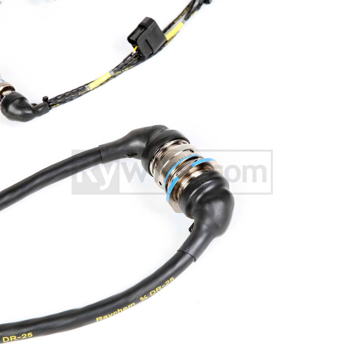 Rywire mil-spec tucked H22 swap engine harness for H-series and F20B, photo 4