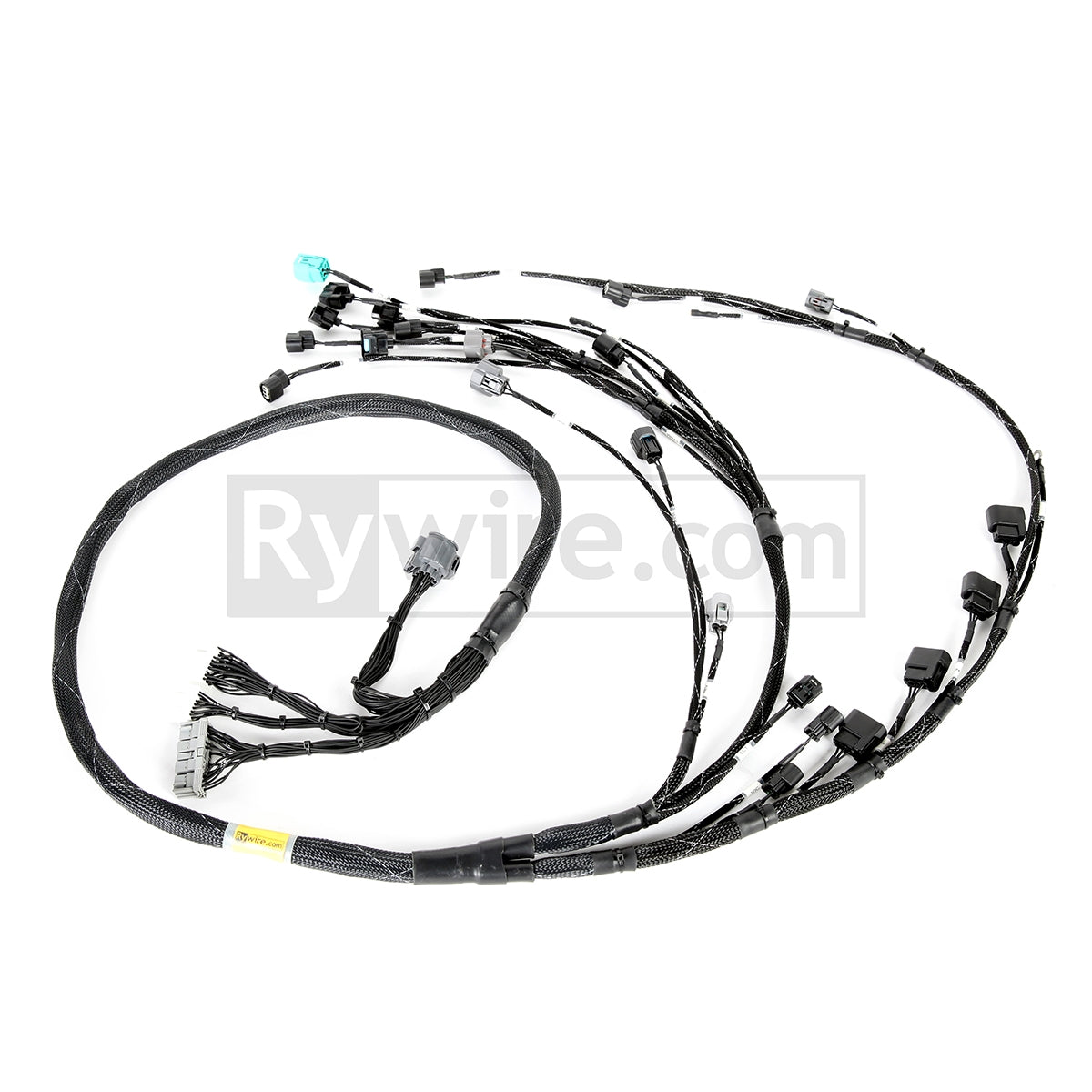Rywire budget tucked K-series V2 engine harness for K20 swap, sold by Tuned By Shawn