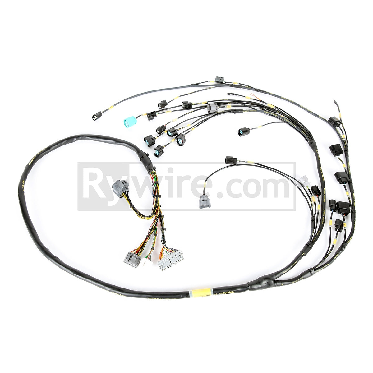 Rywire mil-spec tucked K-series V2 engine harness for K20 swaps, sold by Tuned By Shawn