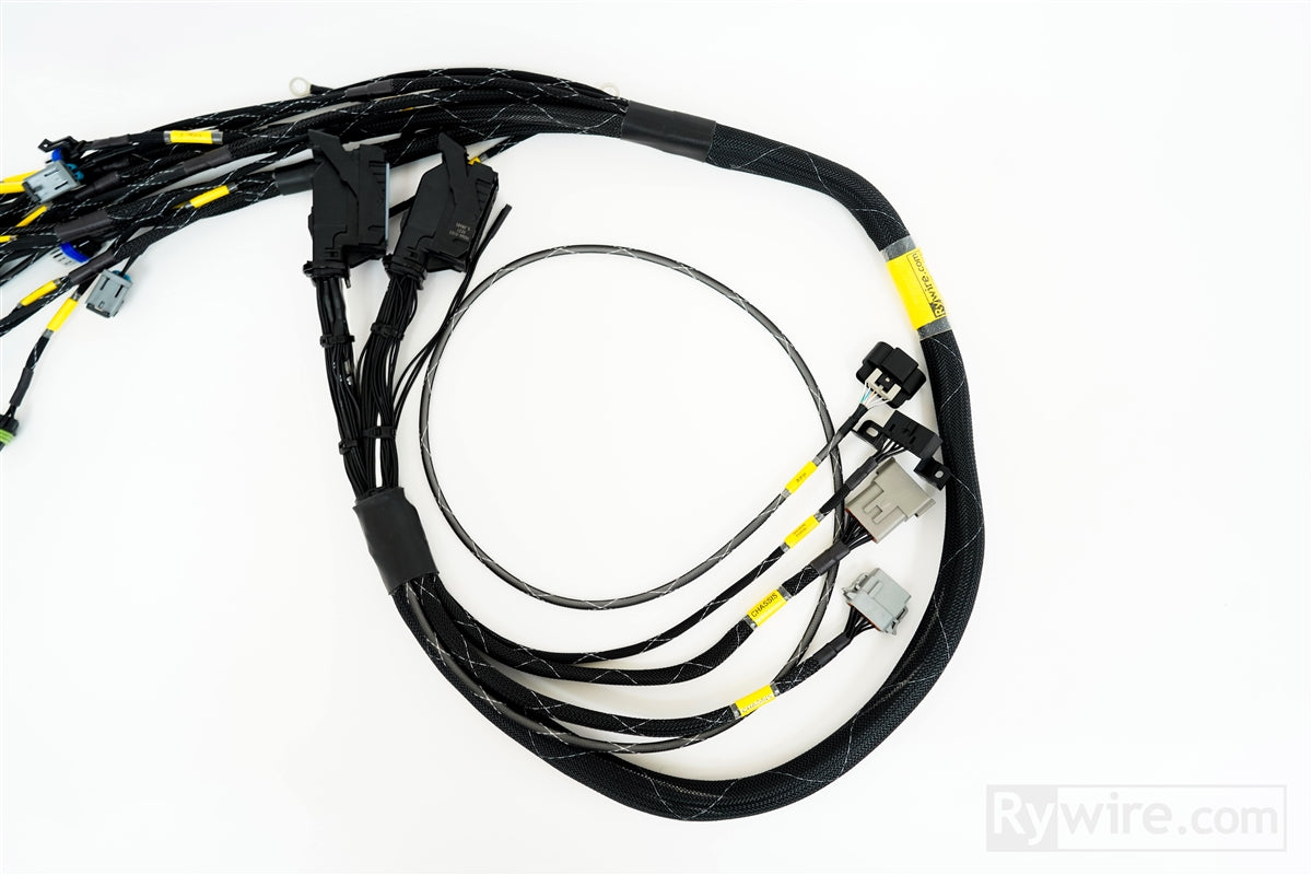 Rywire LS3 swap engine harness for the GM E38 engine computer, photo 3