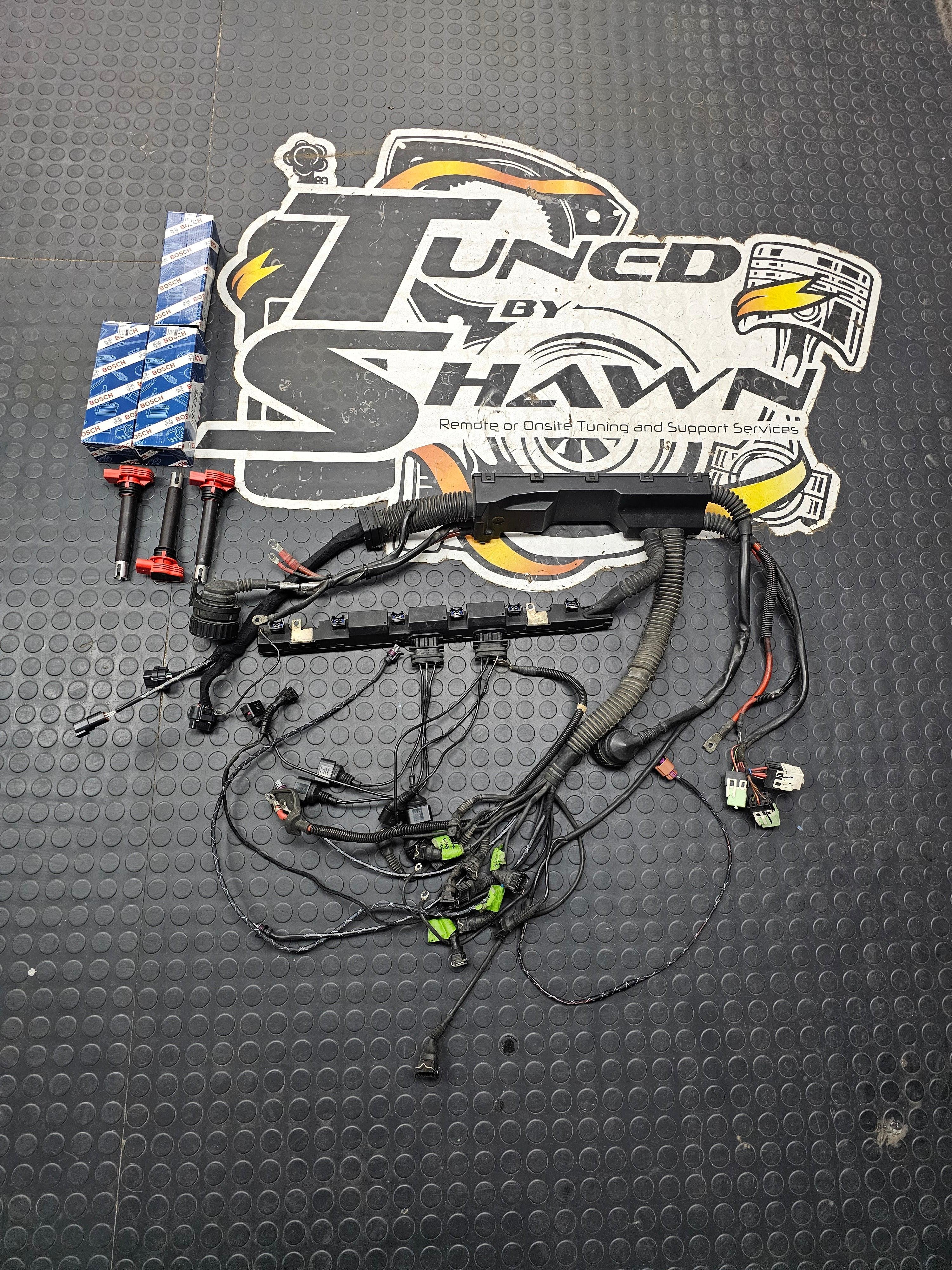 Haltech - BMW E36 OBD1 - HARNESS CONVERSION from Tuned By Shawn