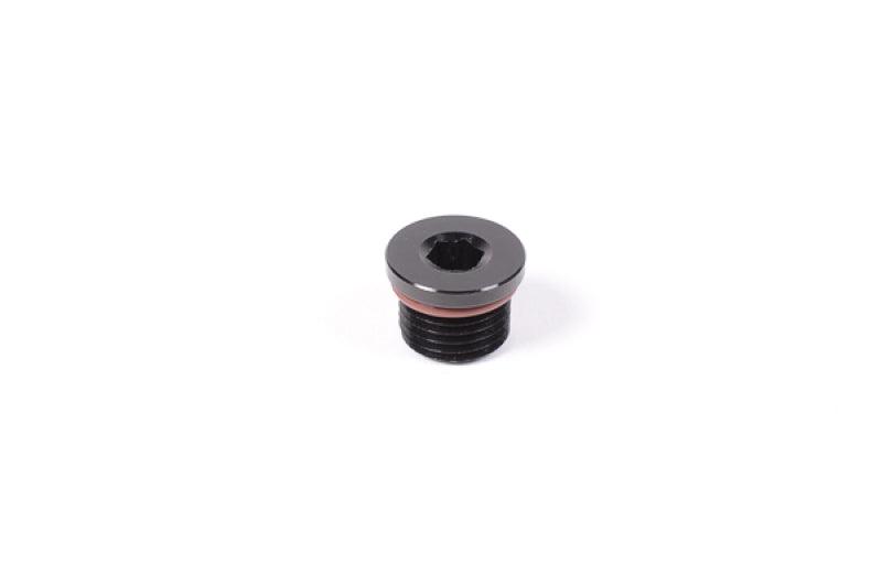 Radium Engineering 6AN ORB Plug from Tuned By Shawn