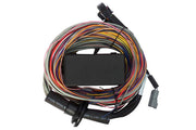 Haltech Elite 750 Premium Universal Wire-in Harness (HT-140604), from Tuned By Shawn