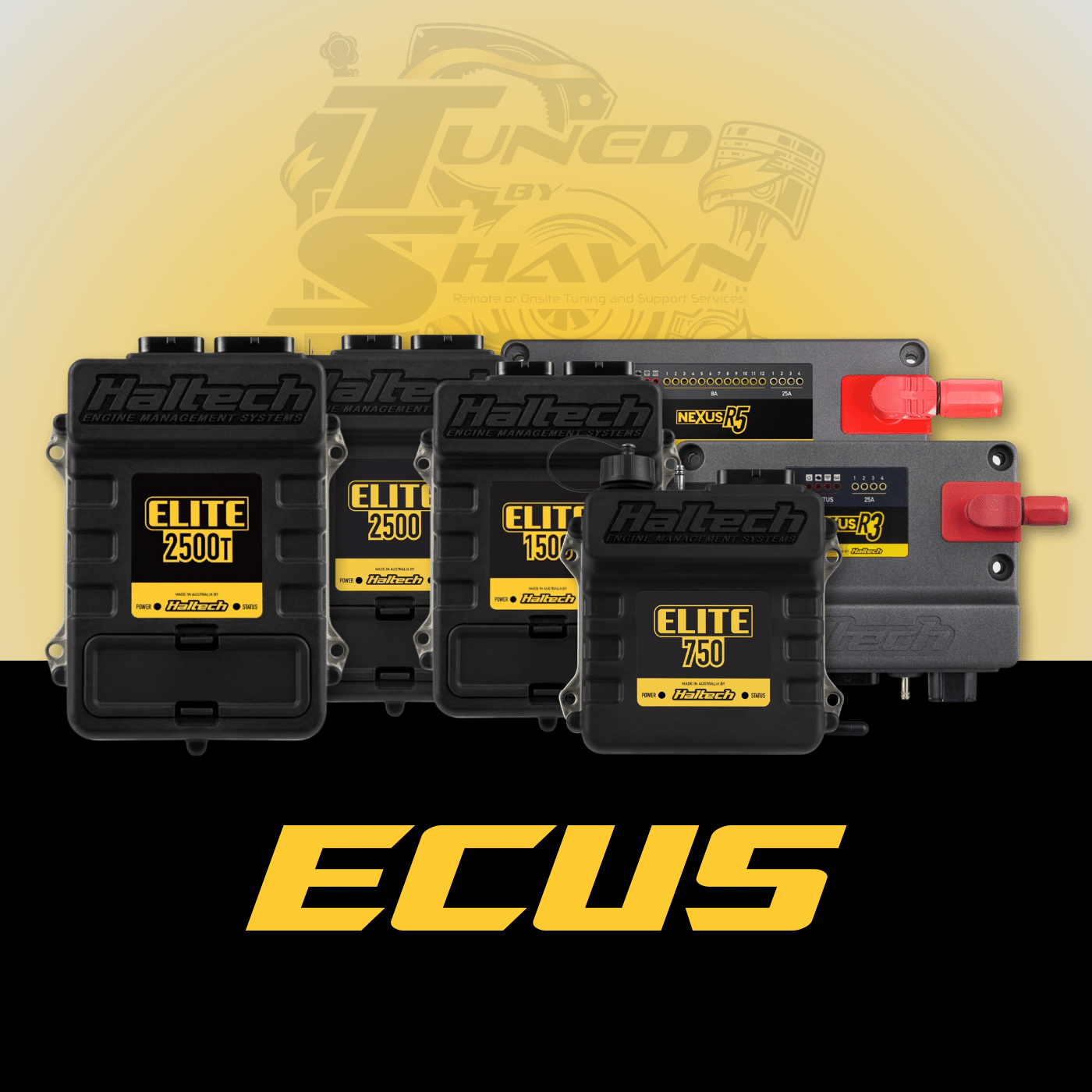 Standalone Haltech ECU's