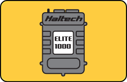 Elite 1000