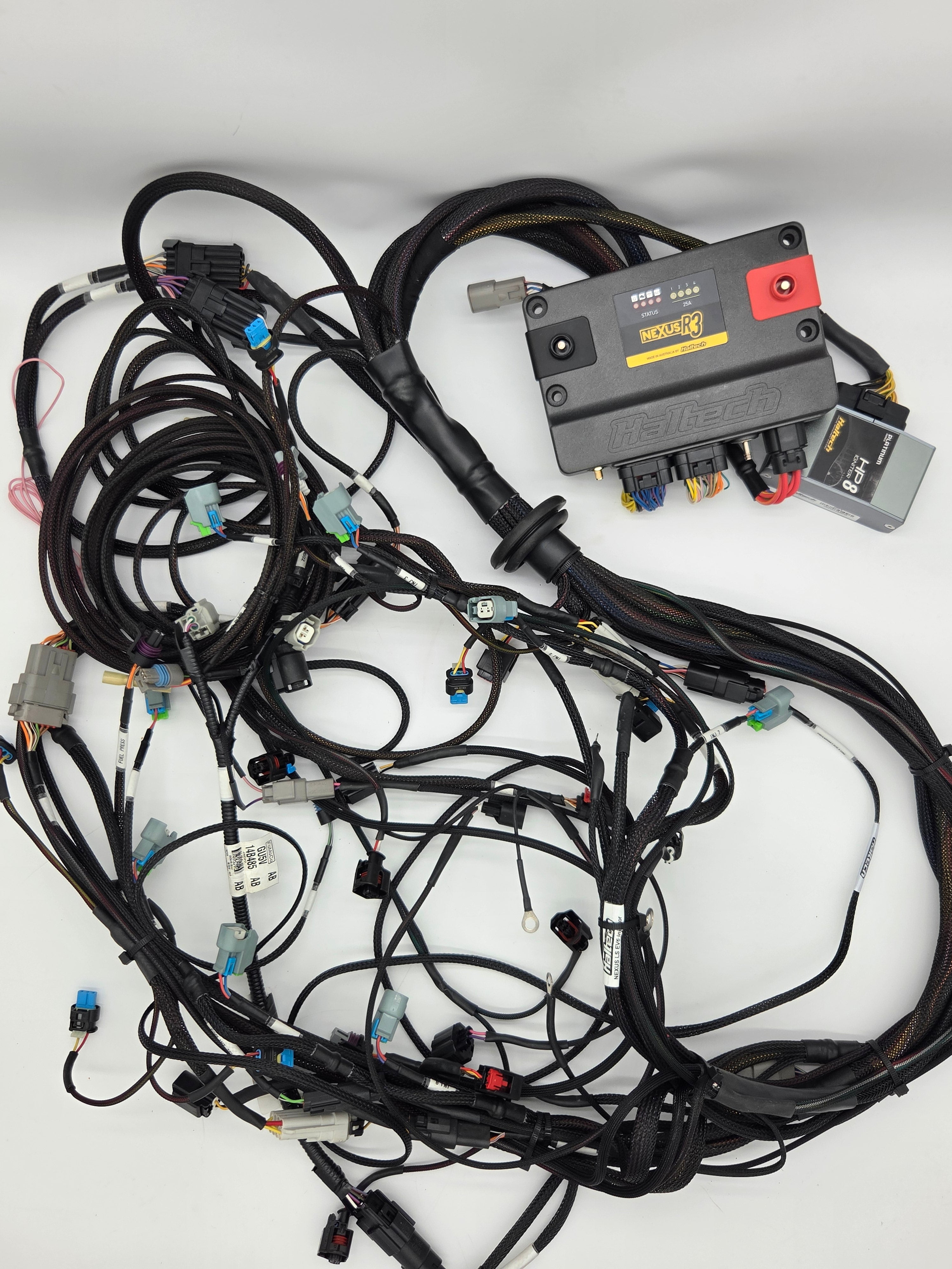 Ford Coyote Gen 1 / Gen 2 Swap Haltech Nexus R3 Engine Harness Kit M/T