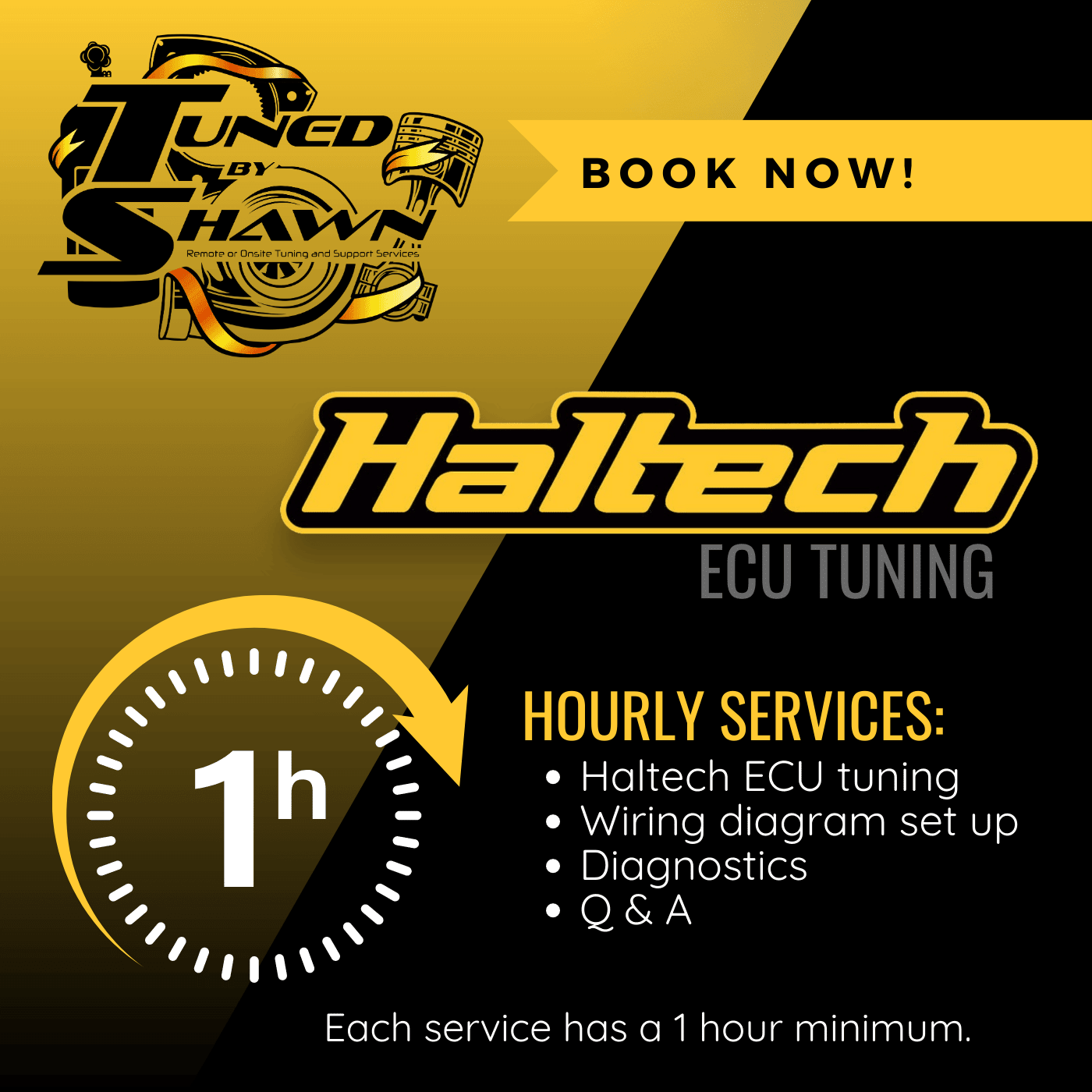 Haltech ECU remote tuning by the hour, hourly services include haltech ecu tuning, engine first start assistance, wiring diagram set up, diagnostics, and more! Book with Tuned by Shawn now!