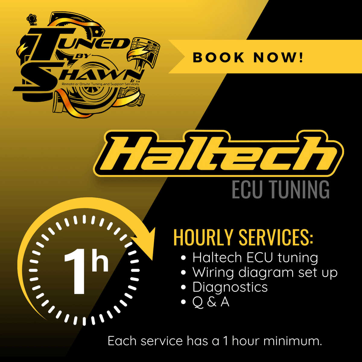 Haltech ECU Remote Tuning by the Hour | Tuned by Shawn