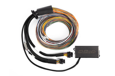 Haltech Elite 2500 & 2500 T Premium Universal Wire-in Harness (HT-141304), view 2, Tuned By Shawn