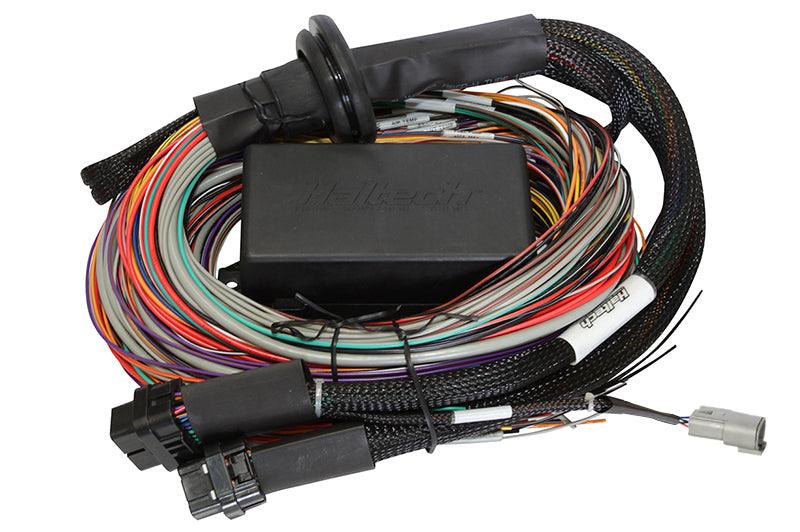 Haltech Elite 2500 & 2500 T Premium Universal Wire-in Harness - 3M Length: 3M (9.8')