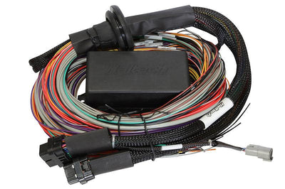 Haltech Elite 2500 & 2500 T Premium Universal Wire-in Harness - 3M Length: 3M (9.8') (HT-141306)
