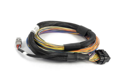 Haltech Basic Universal Wire-in Harness Nexus T1 T2 HT-181200