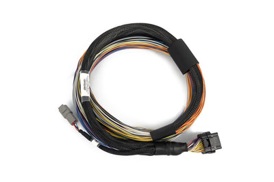 Haltech Basic Universal Wire-in Harness Nexus T1 T2 HT-181200 connector detail