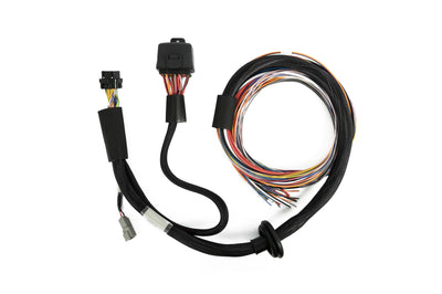Haltech Premium Universal Wire-in Harness Nexus T1 T2 HT-181201 fuse box