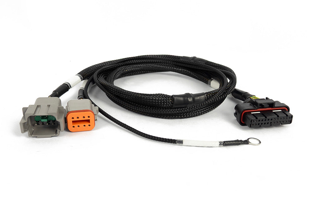 Haltech Nexus 6 Cylinder Igniter Adapter Harness HT-186069