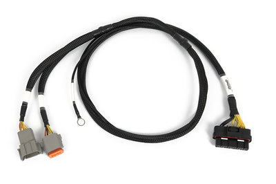 Haltech Nexus 6 cylinder igniter adapter harness detail HT-186069