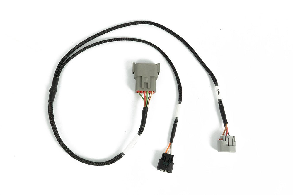 Haltech Nexus Honda cable throttle sub-harness (HT-186169), alternate view