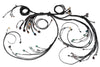 Haltech Nexus R5 LSx DBW Terminated Harness - DBW ready Injector Connector: EV6 Tuned by Shawn