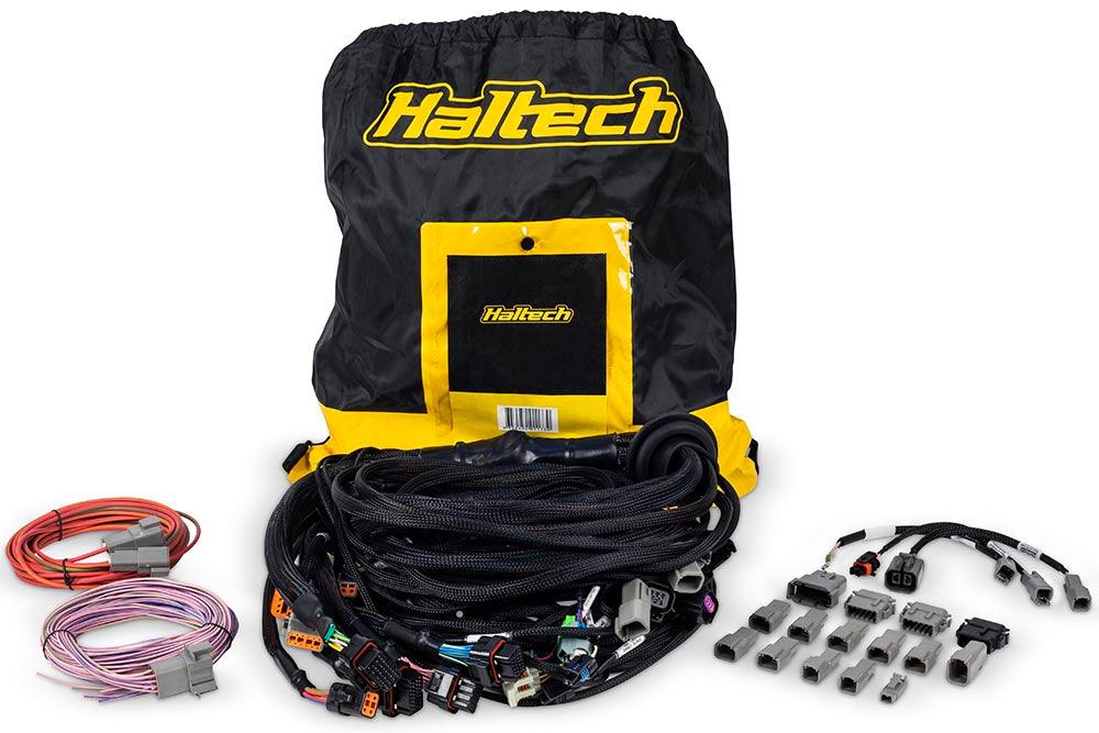 Haltech Nexus R5 LSx DBW Terminated Harness - DBW ready Injector Connector: EV6 Tuned by Shawn