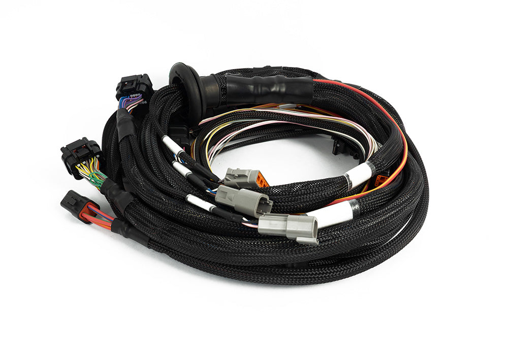 Haltech Nexus Rebel K main terminated harness kit contents (HT-186402), alternate view