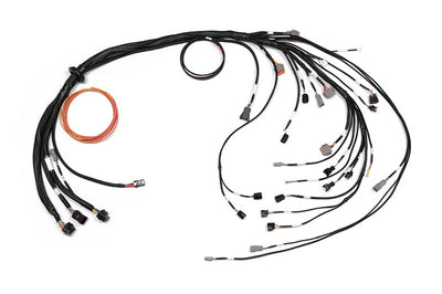 Haltech Nexus R3 Terminated Engine Harness - Ford Barra BA BF FG Falcon and SY Territory (HT-186405)