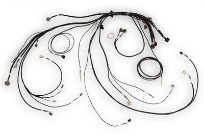 Nexus Rebel LS Main Terminated Harness (HT-186500)