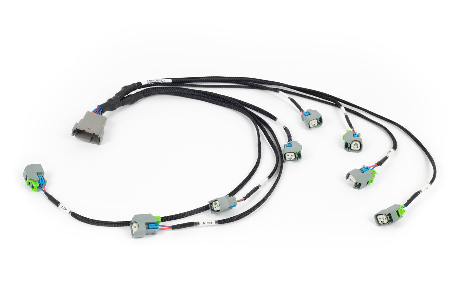 Haltech Nexus Rebel LS EV6 Injector Sub-Harness HT-186502 connectors