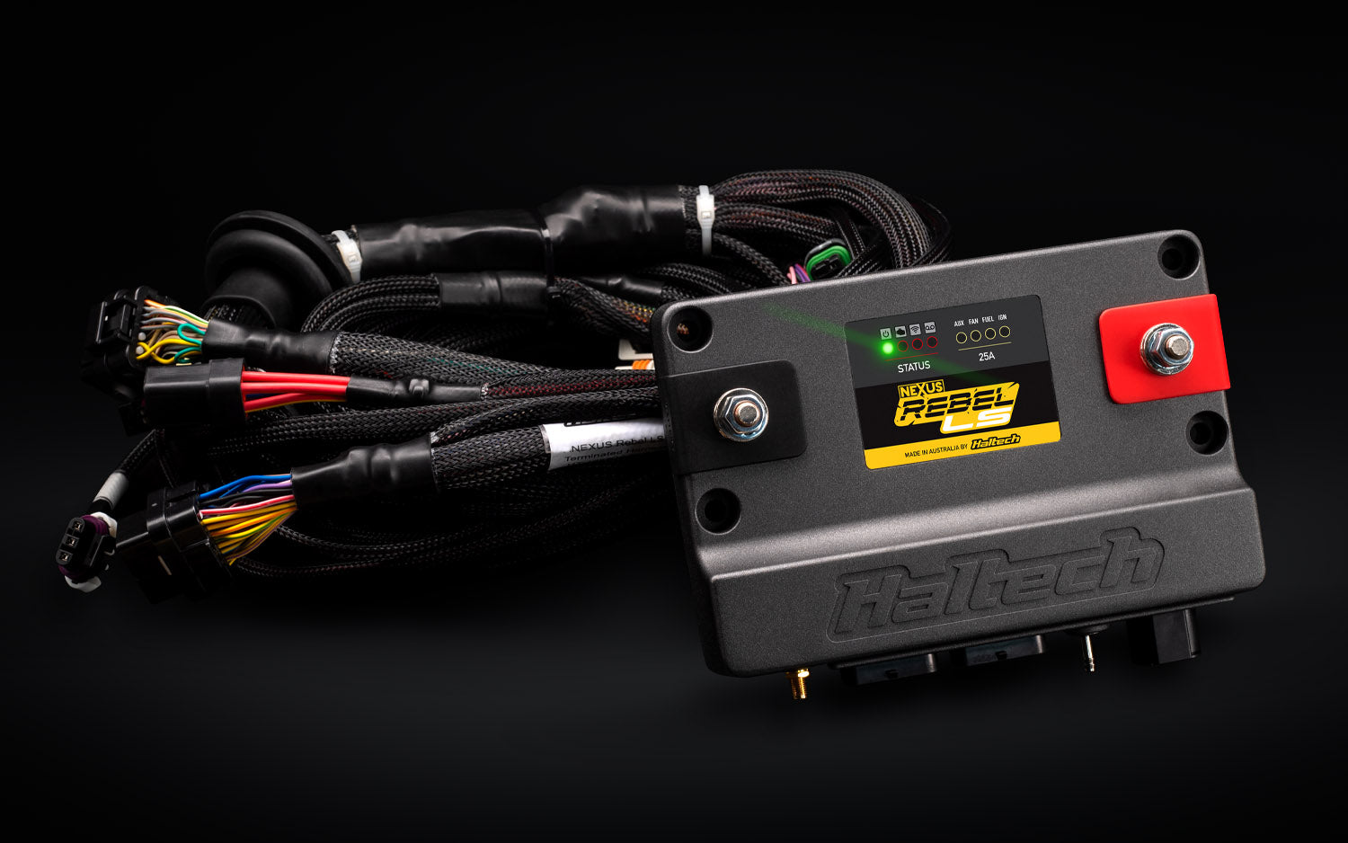 Haltech Lotus Tuned By Shawn - Platinum Haltech Dealer and Remote Tuning