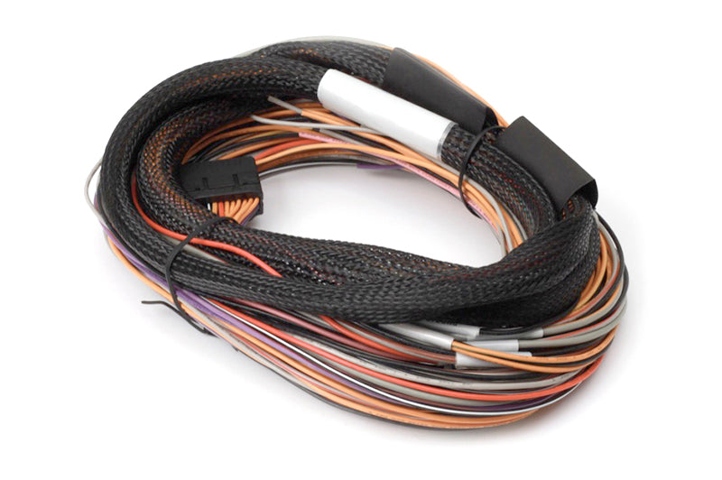 IO 12 Expander - 12 Channel with Flying Lead Harness Kit (CAN ID - Box B) (HT-059905)