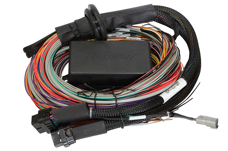 Haltech Elite 2500 & 2500 T Premium Universal Wire-in Harness - 3M (9.8') (HT-141306)
